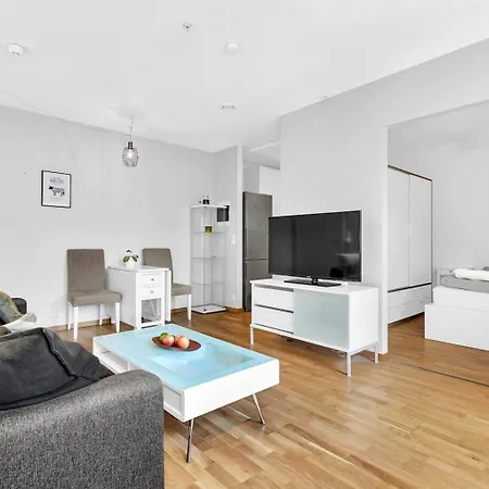 New Stuido Near Karl Johan Oslo